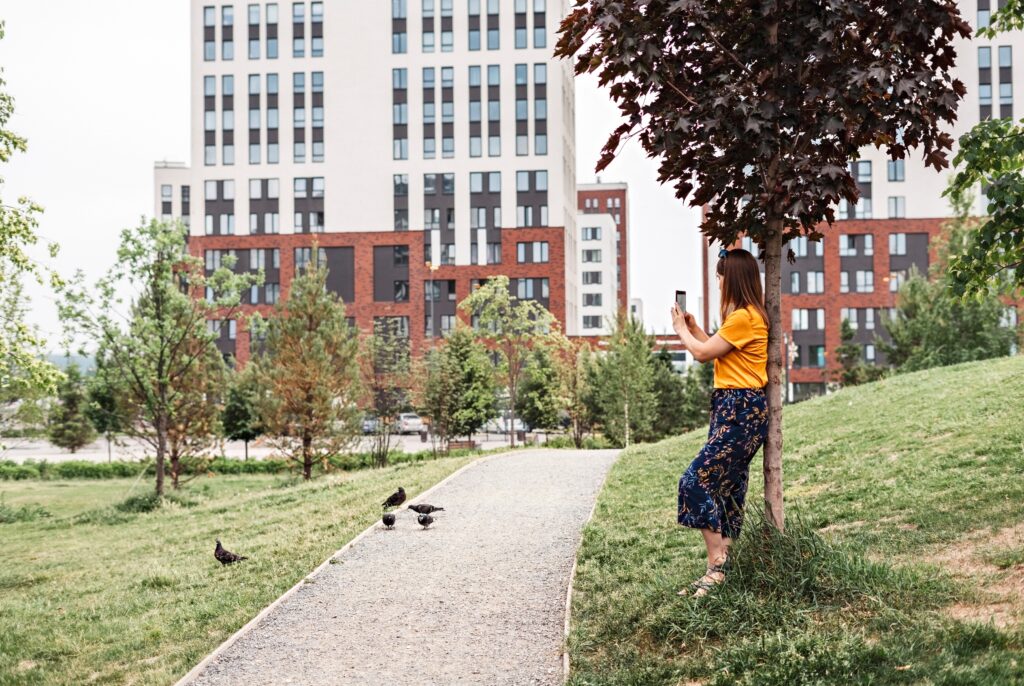 Şehirde Doğayla Bağ Kurmanın 6 Etkili Yolu