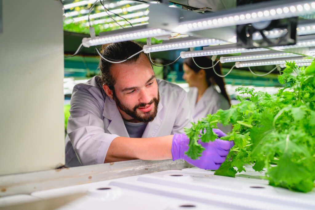 Genç Girişimciler İçin Tarımda Yeni Ufuklar