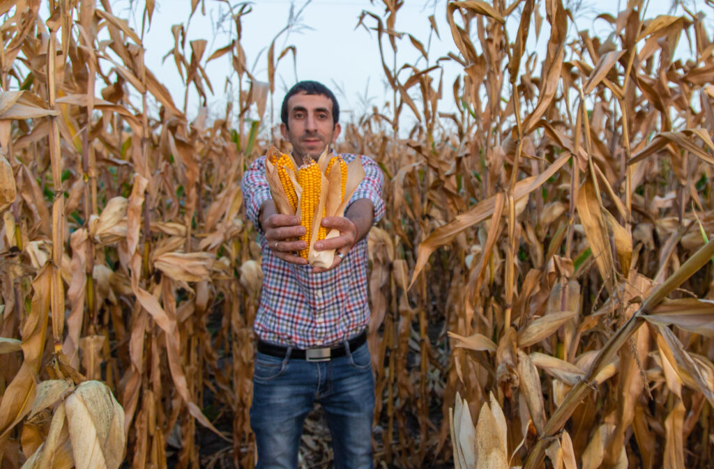 Küresel Gıda Krizi 